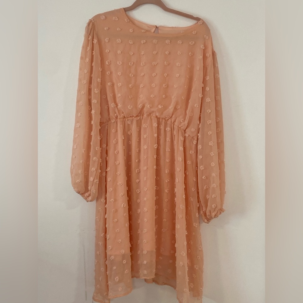 Long Sleeve Peach Dress